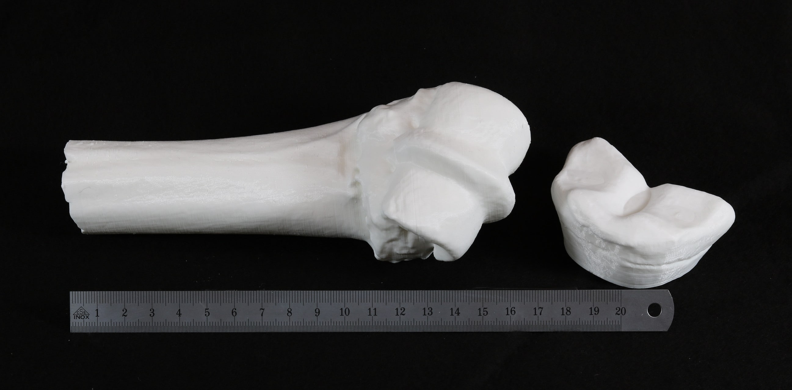 3D print of a leg bone